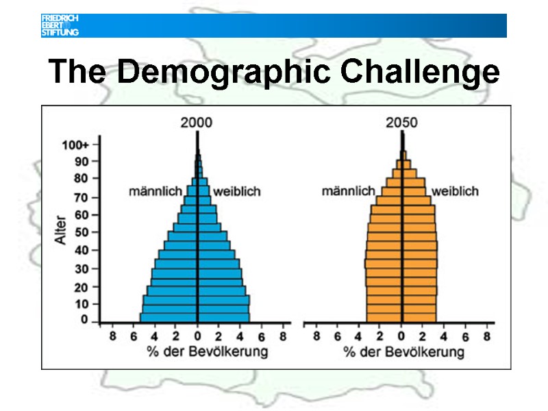 The Demographic Challenge